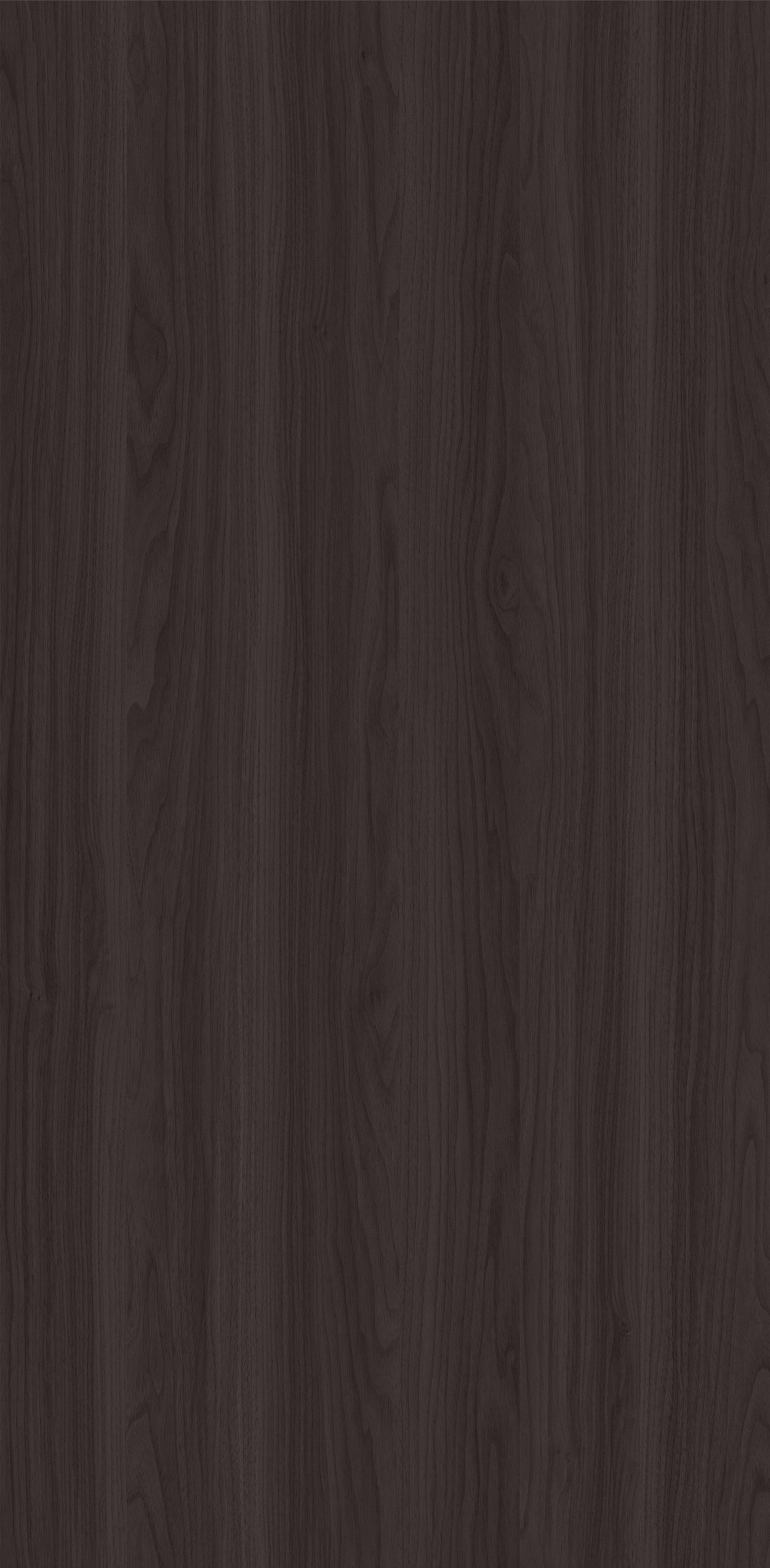 YDHTB1143 科蒂纳胡桃