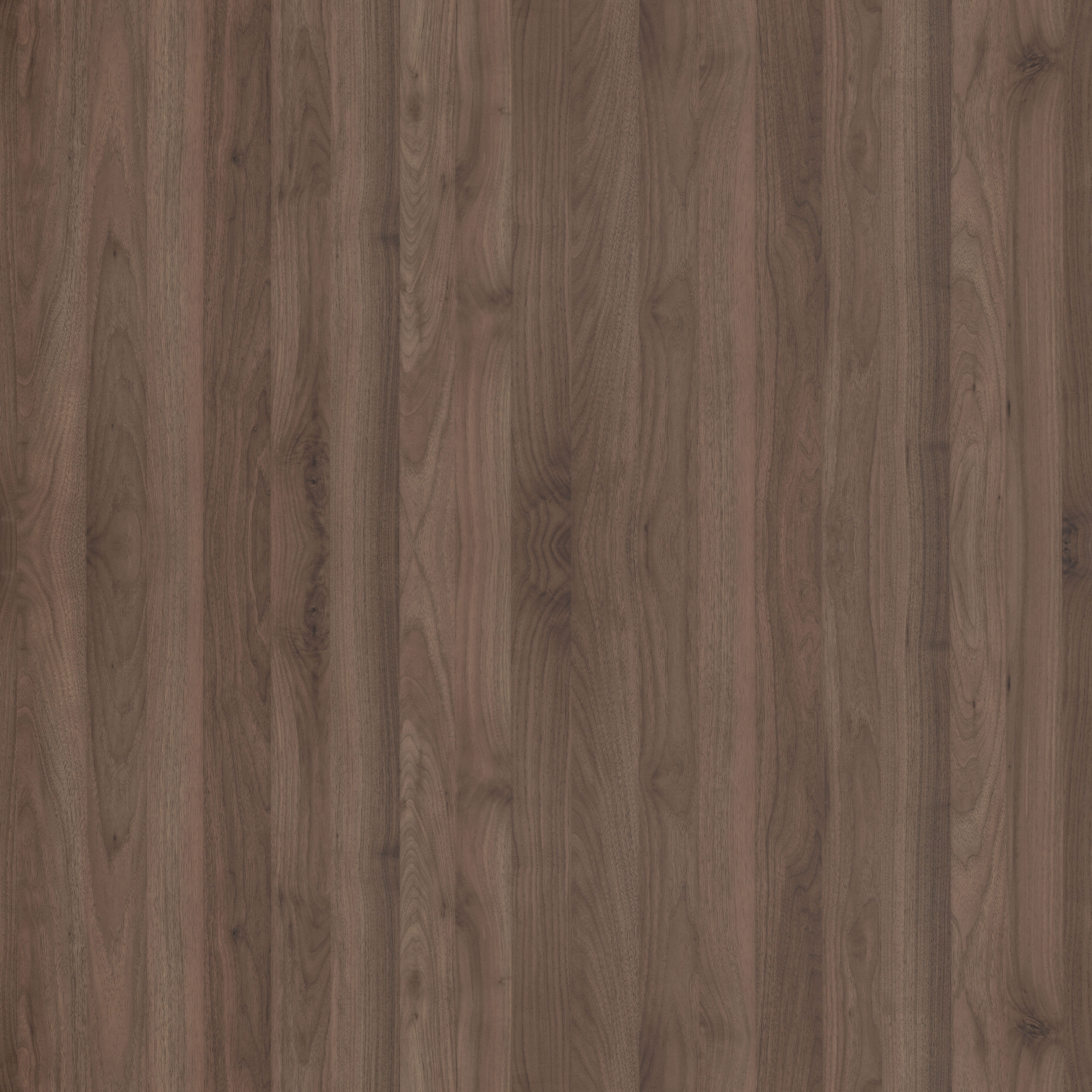 YDH331 圣玛丽胡桃