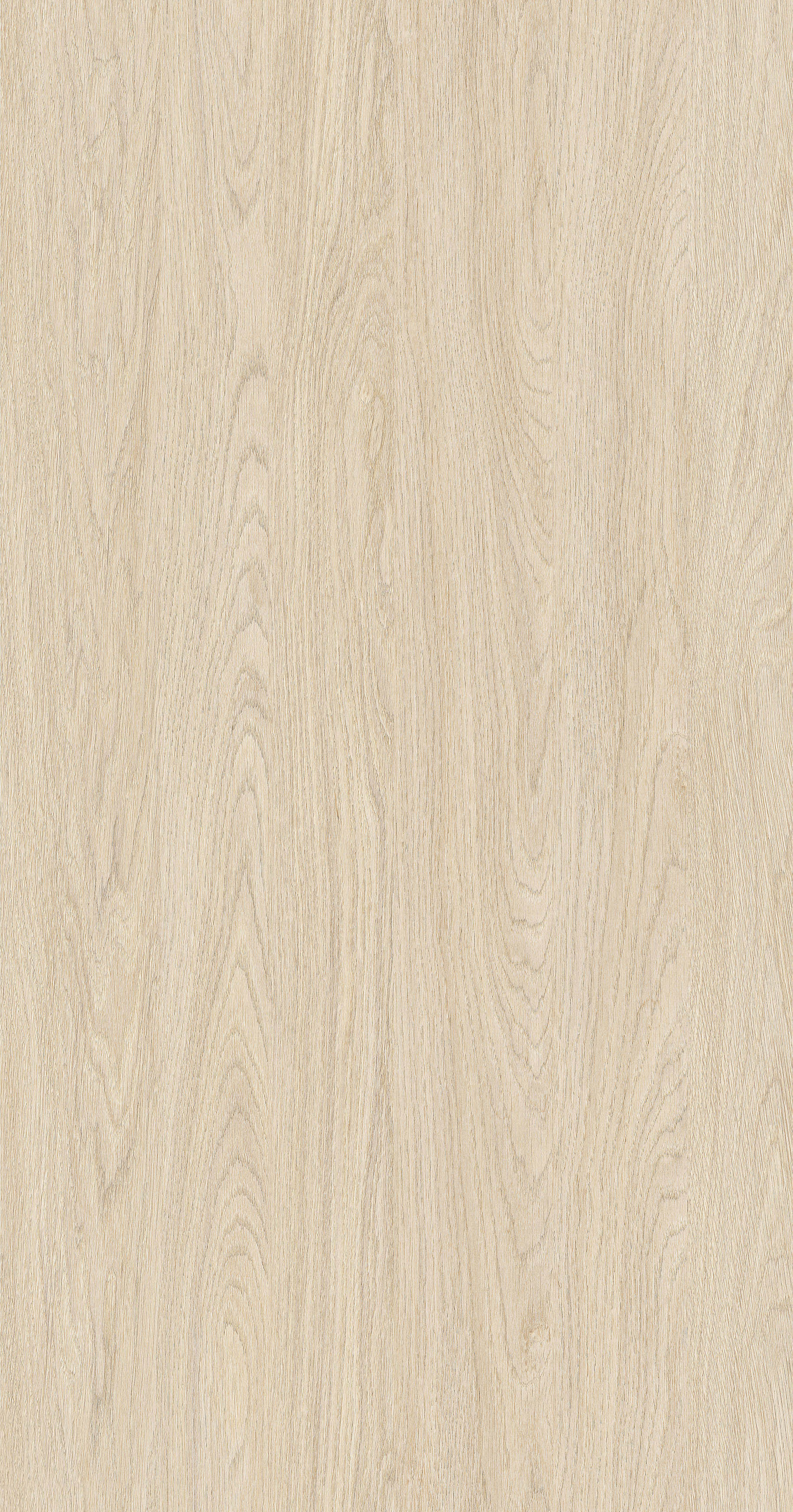 YDH343  丝缕橡木