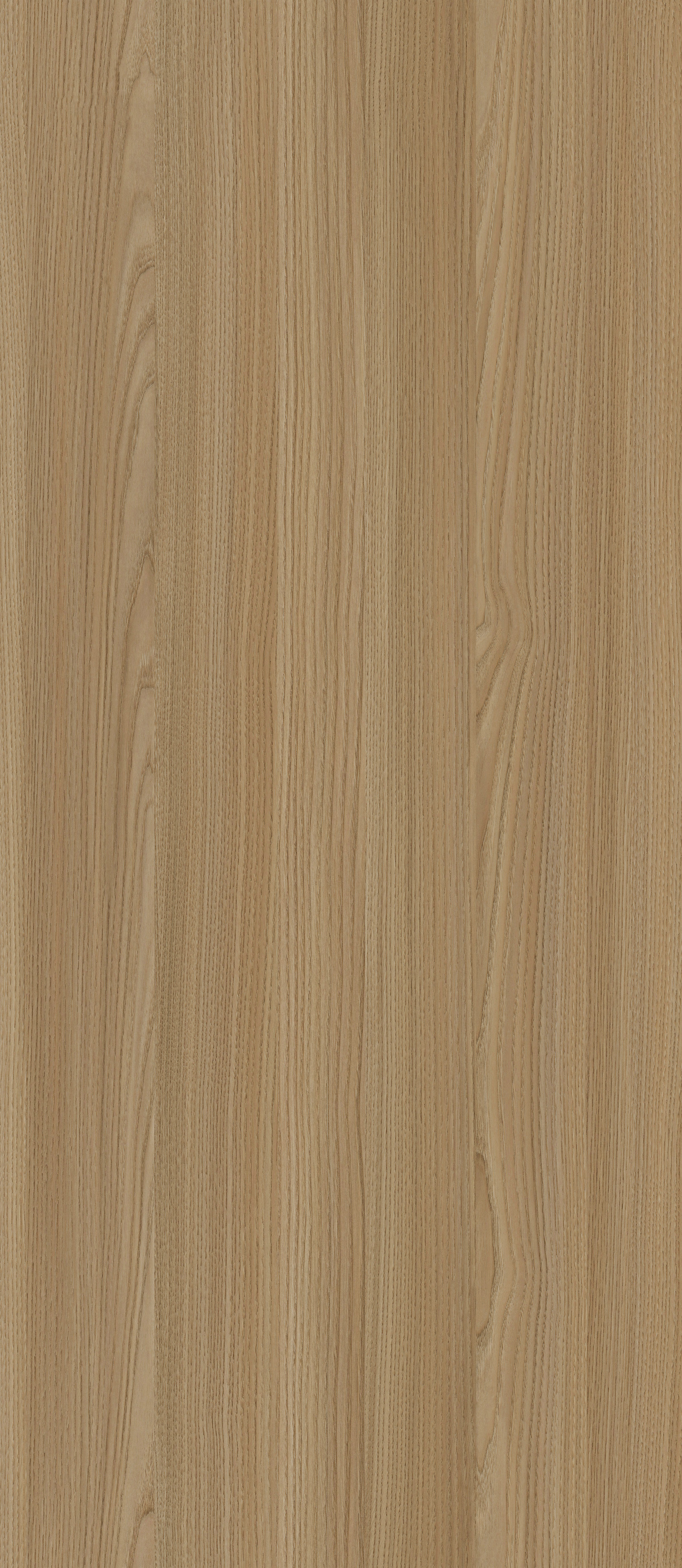 YDHTB1211 拉普兰榆木