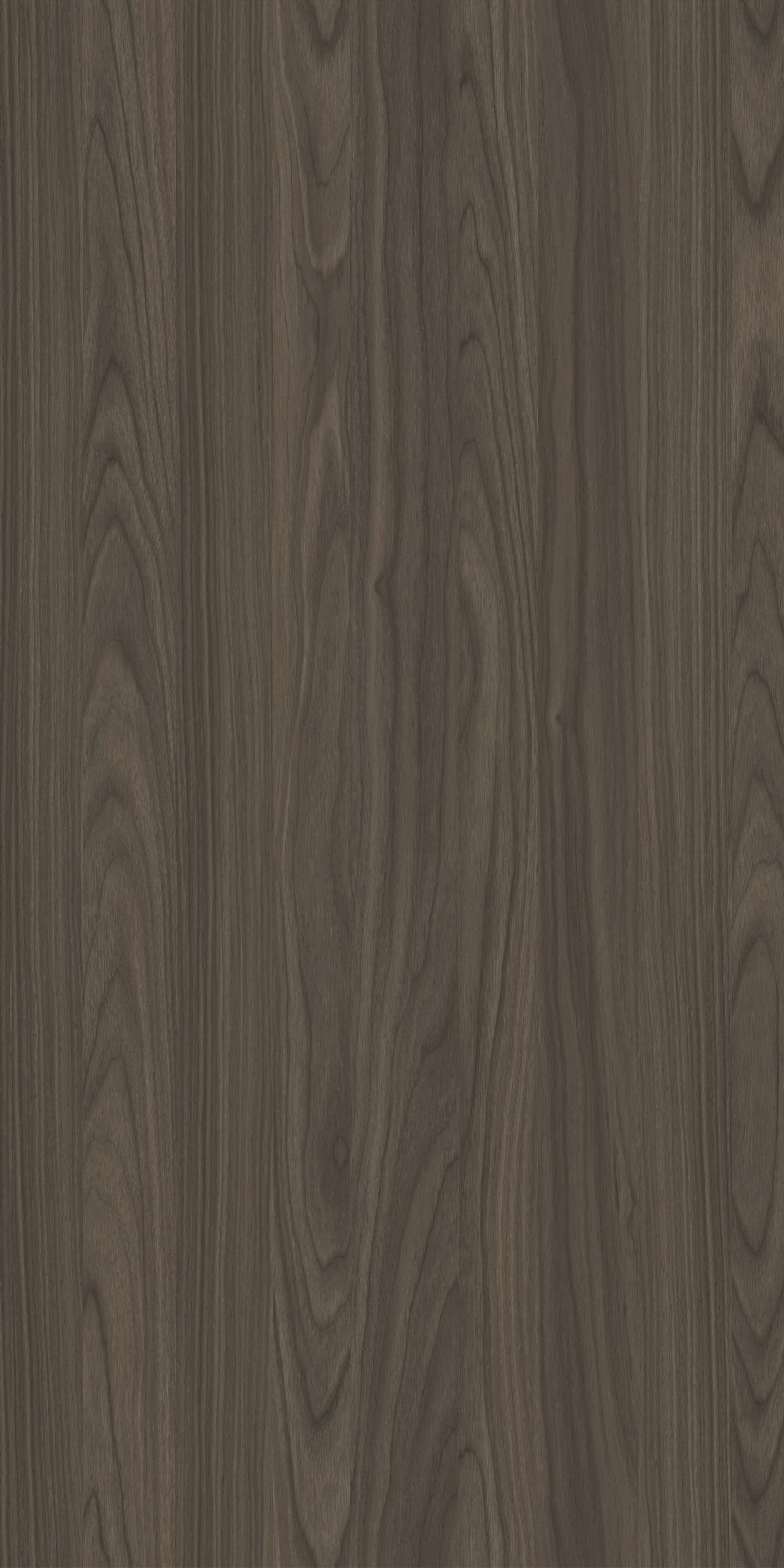 YDHTB1054 安科纳胡桃 