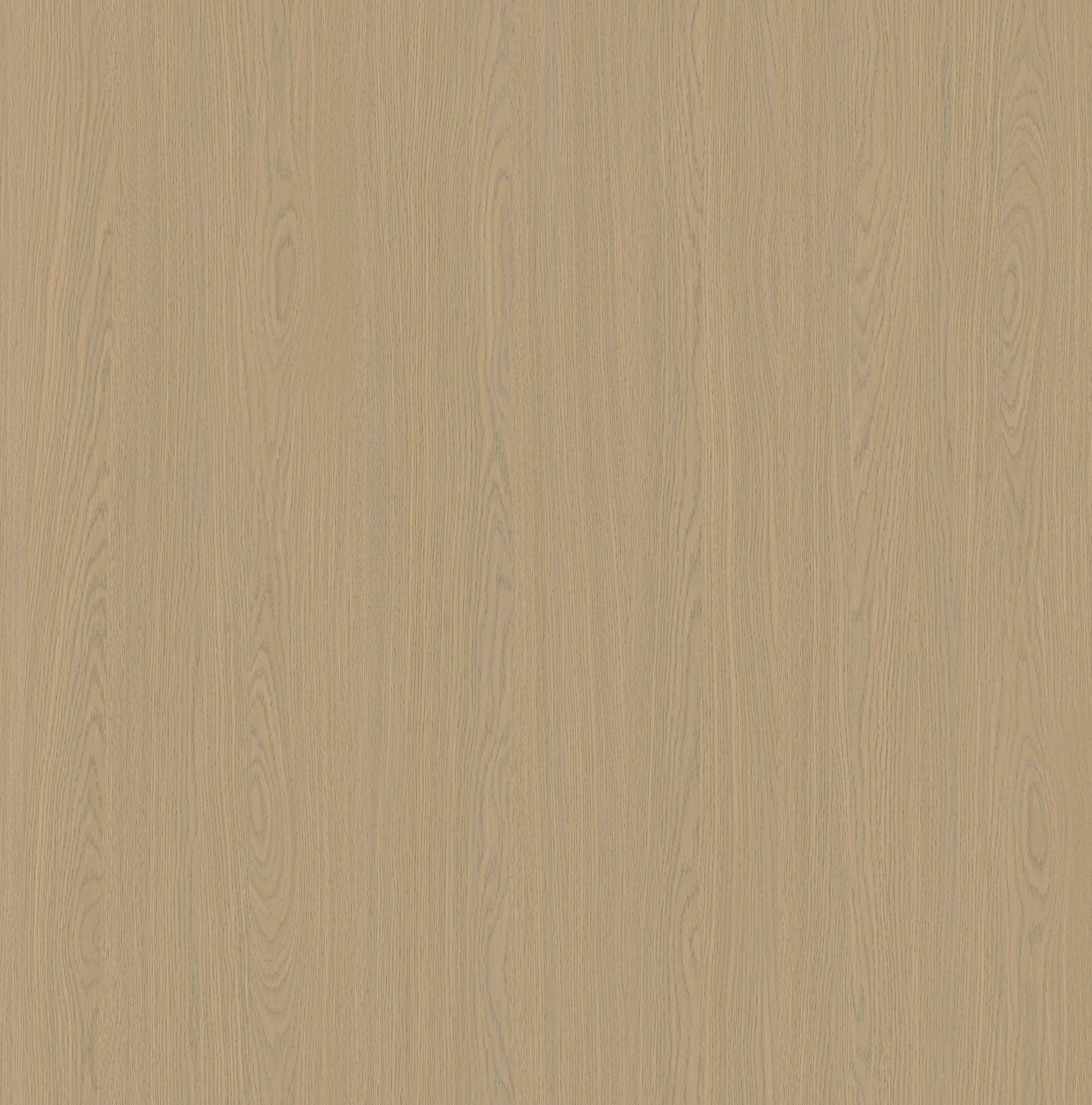 YDHTB1251博洛尼亚橡木