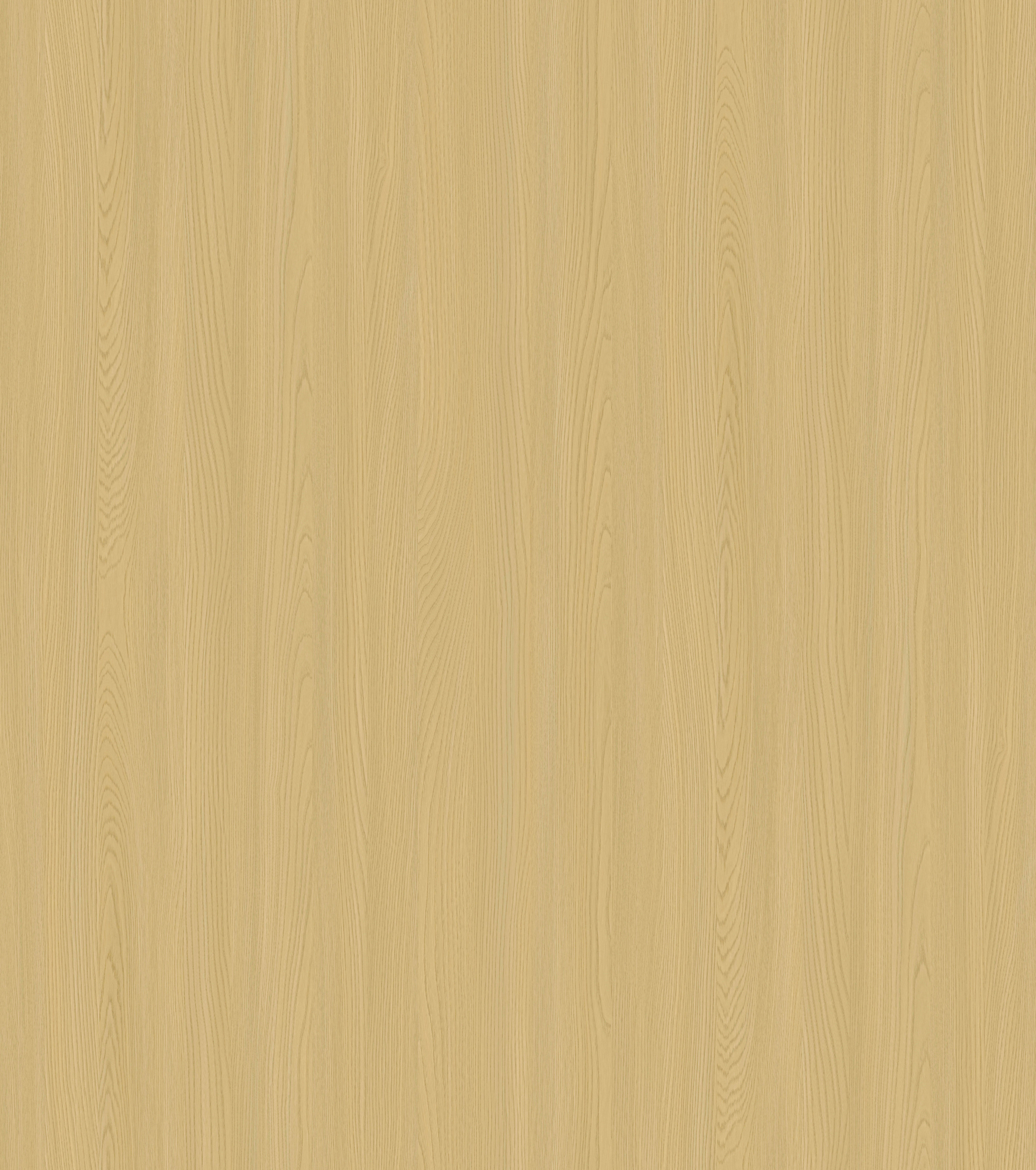 YDHTB1341图林根榆木